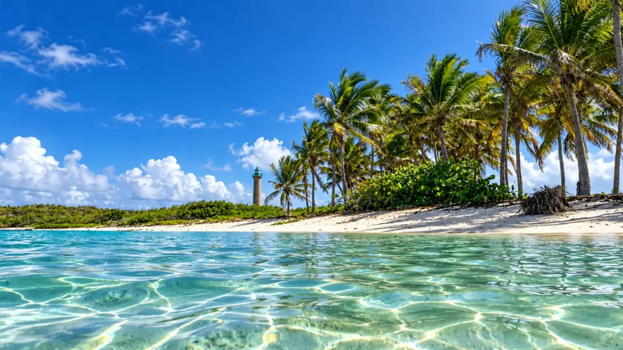 Plage bordée de palmiers à Petite-Terre en Guadeloupe, vue depuis le lagon