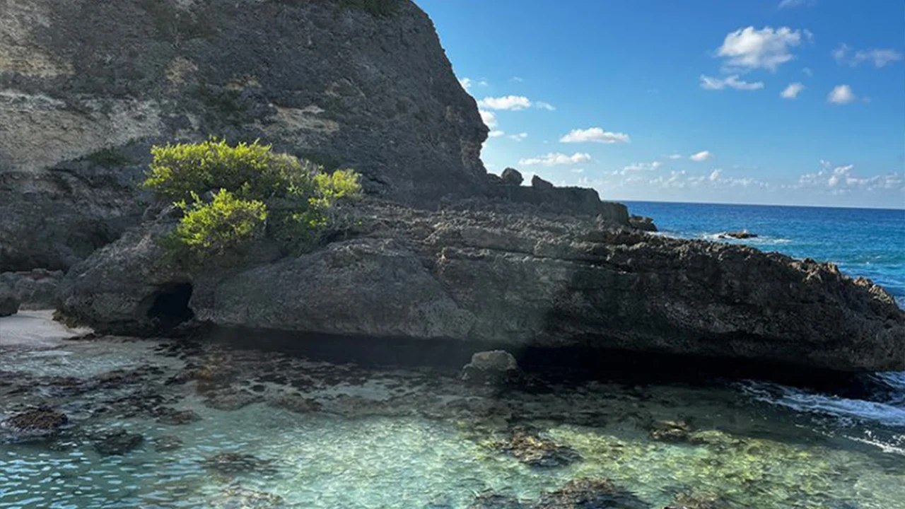 Falaises rocheuses baignées par une mer turquoise dans le nord de la Basse-Terre, Guadeloupe.