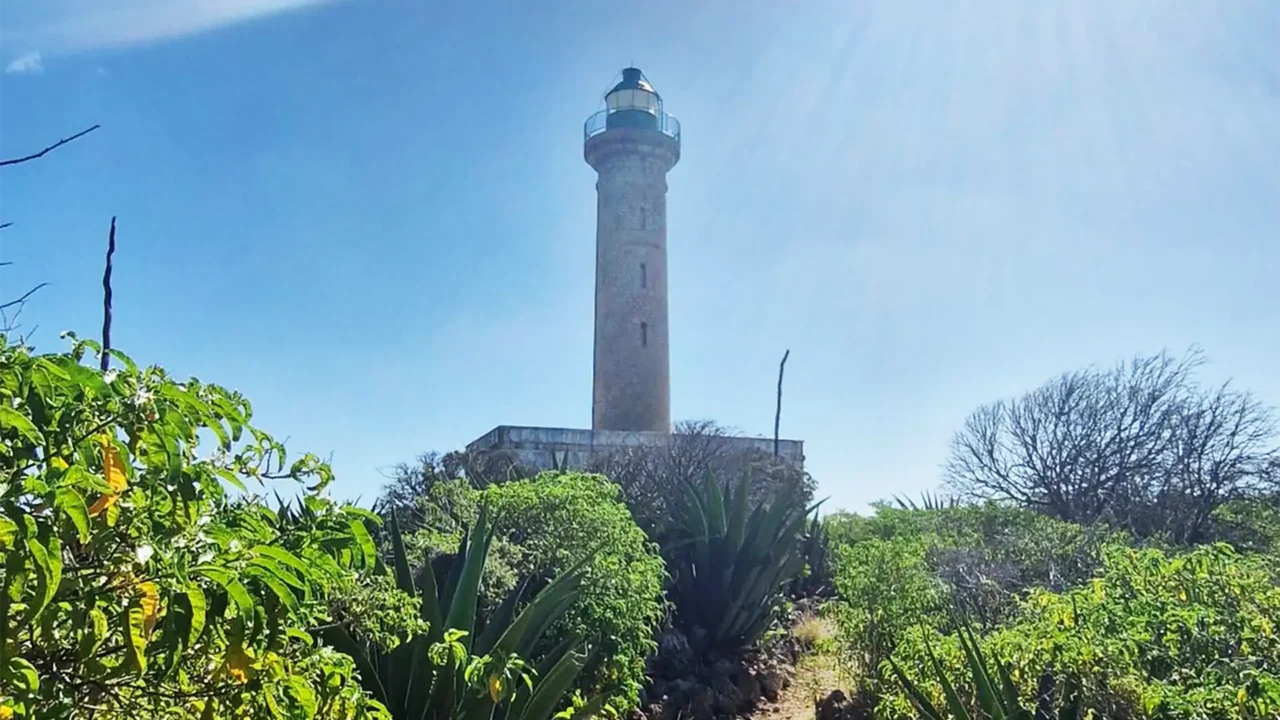 Phare de Petite-Terre entouré de végétation tropicale sous un ciel bleu en Guadeloupe